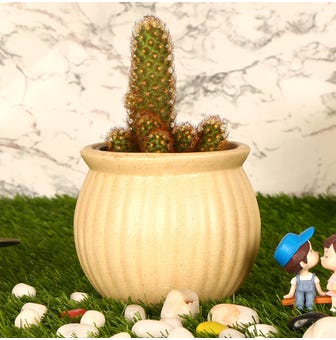 Lehsun Design Ceramic Flower Pot(Color:Beige)
